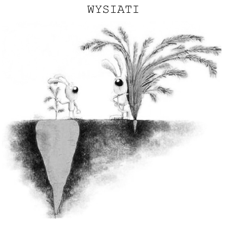 Illustrazione del concetto WYSIATI